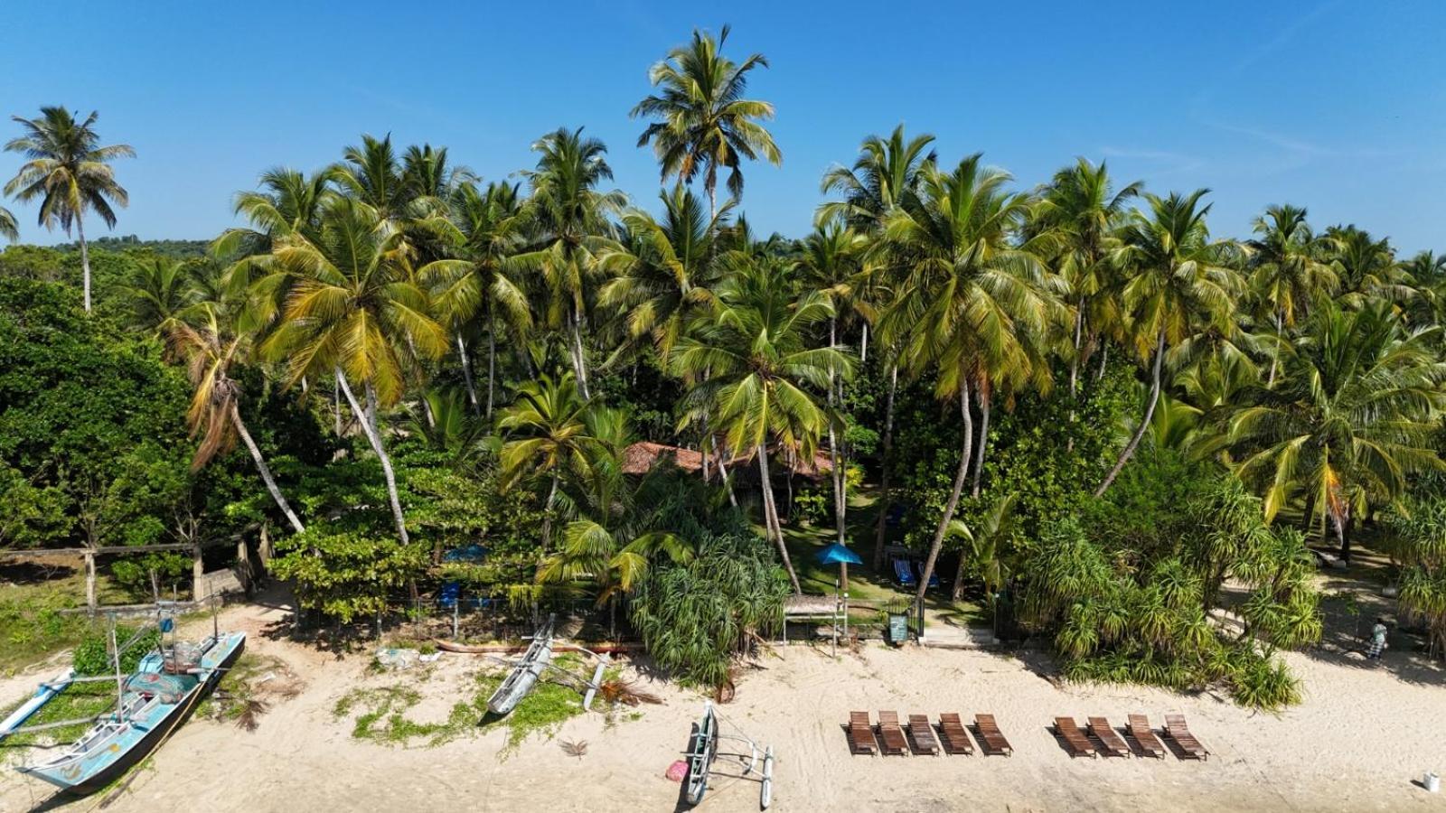 Esperanza Beach Mawella Tangalle Eksteriør bilde