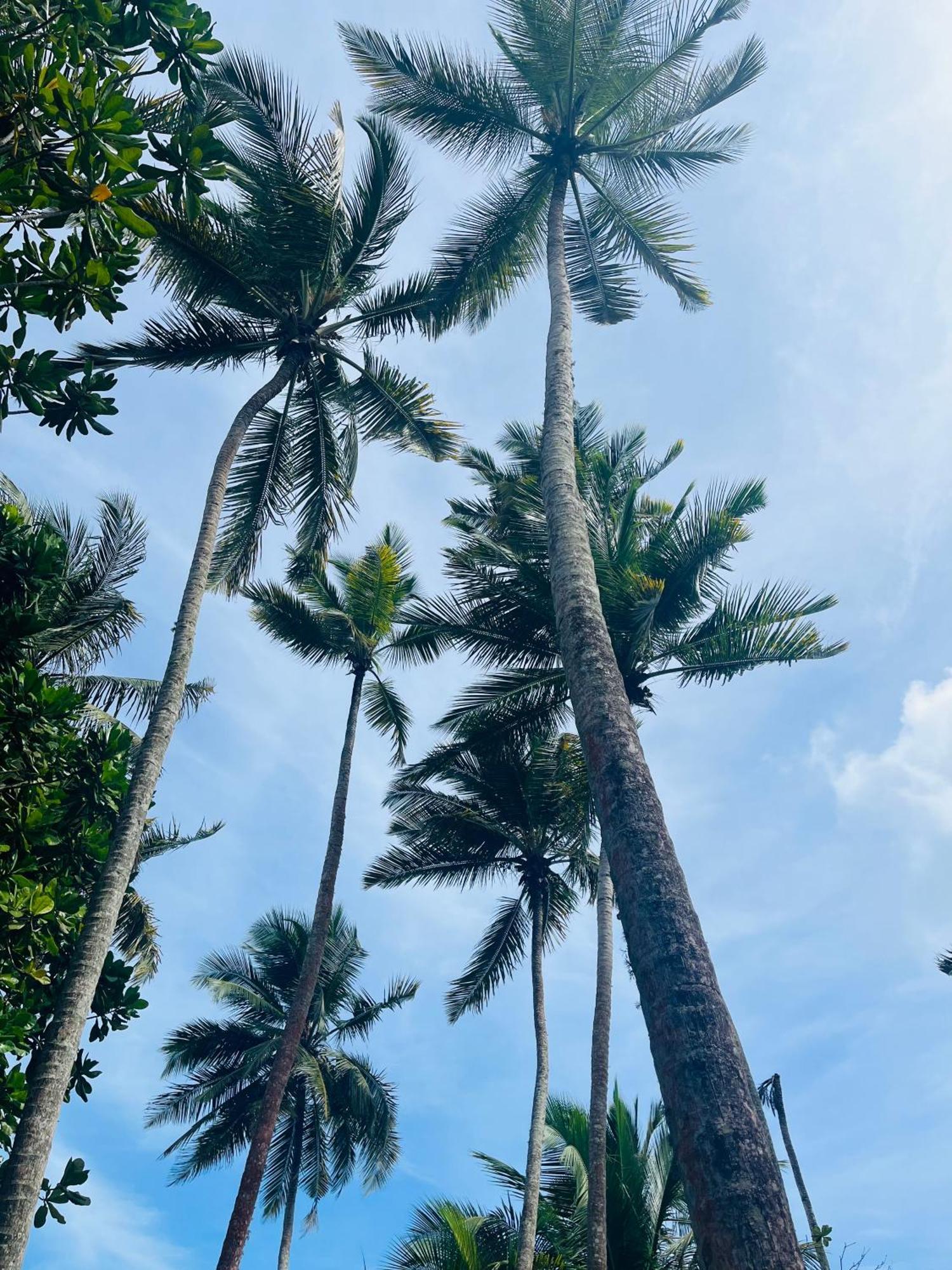 Esperanza Beach Mawella Tangalle Eksteriør bilde